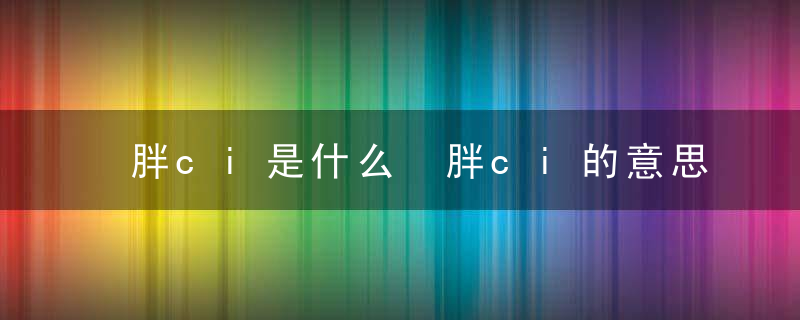 胖ci是什么 胖ci的意思